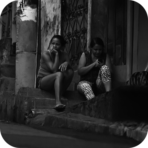 DISQUE DENÚNCIA // STRAY NOTIFICATION